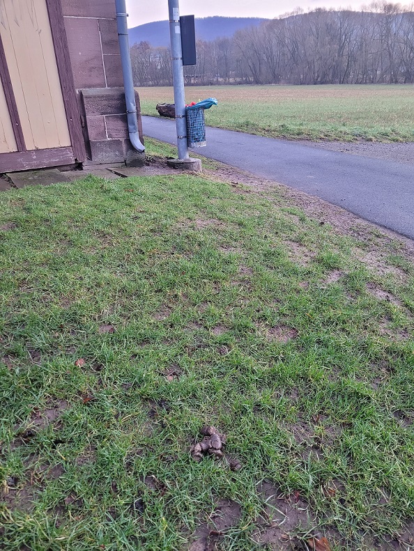 20240213-Einfach%20nur%20frech 20240213-Einfach%20nur%20frech